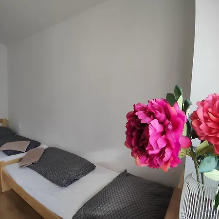 Apartmány Opolany Apartmán